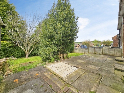 Picture 36